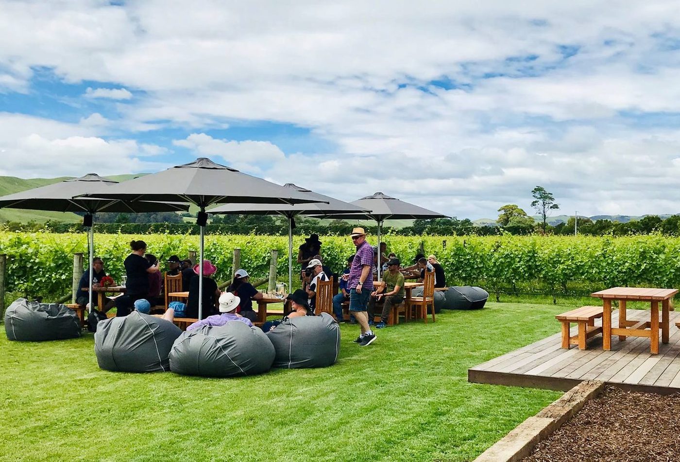 Martinborough vineyards